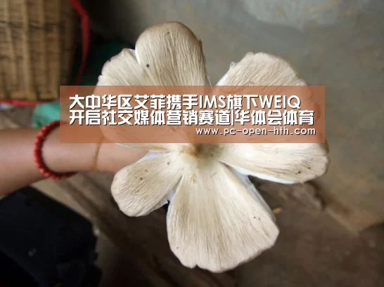 华体会体育官方平台
